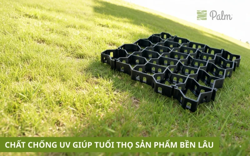 Vỉ Trồng Cỏ Chịu Lực | Tất Tần Tật Về Lợi Ích, Ứng Dụng Và Cách Lắp Đặt